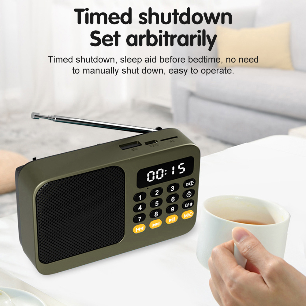 Handheld Rechargeable Digital  - Audio Music Play review and price